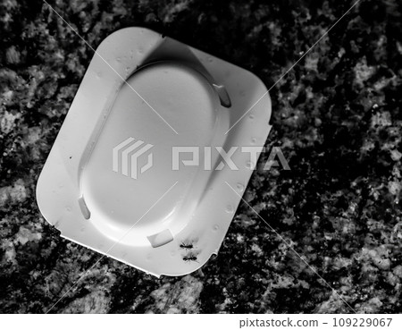 Ant trap poison bate on a granite kitchen countertop 109229067