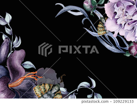 Watercolor board of purple pink lily flowers isolated on black. Gothic floral peony foliage Illustration hand drawn. Gothic Wedding Decoration in vintage style. Element for invitation, package 109229133