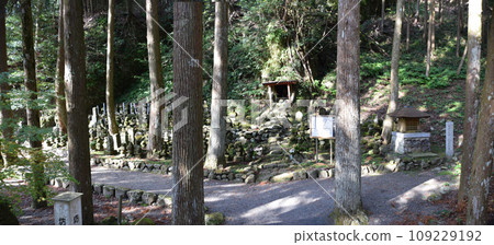 Autumn leaves of Kanmuridake Shrine 109229192