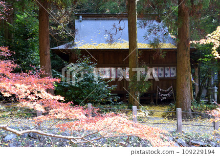 關竹神社的秋葉 109229194