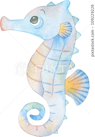 色彩繽紛的海馬水彩插圖 109229226