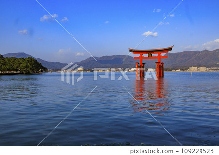 Miyajima Momijidani Park and Itsukushima Shrine, the best time to see autumn leaves Miyajima Momijidani Park and Itsukushima Shrine, the best time to see autumn leaves 109229523