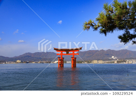 Miyajima Momijidani Park and Itsukushima Shrine, the best time to see autumn leaves 109229524