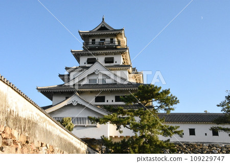 Imabari Castle Castle, one of Japan's three major sea castles Imabari Castle Castle, one of Japan's three major sea castles 109229747