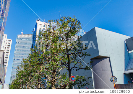 [東京的都會景觀] 赤坂的都會景觀 109229960