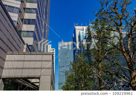 [東京的都會景觀] 赤坂的都會景觀 109229961