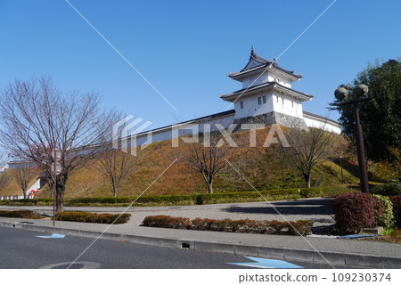 Utsunomiya Castle Ruins Park is a relaxing place with a wide lawn. 109230374