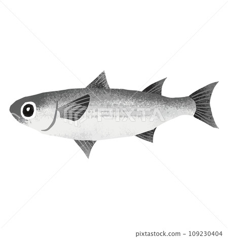 Illustration material of mullet Illustration material of mullet 109230404