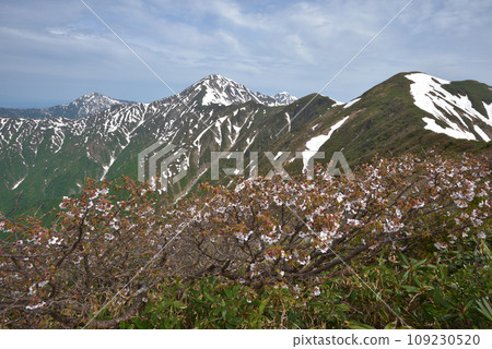 Mt. Rakuten of remaining snow and Echigo Miyama seen from Mt. Mt. Rakuten of remaining snow and Echigo Miyama seen from Mt. 109230520