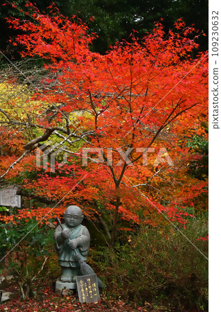 Autumn leaves at Otaniyama Kaya-in Temple 109230632