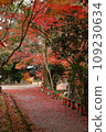 Autumn leaves at Otaniyama Kaya-in Temple 109230634