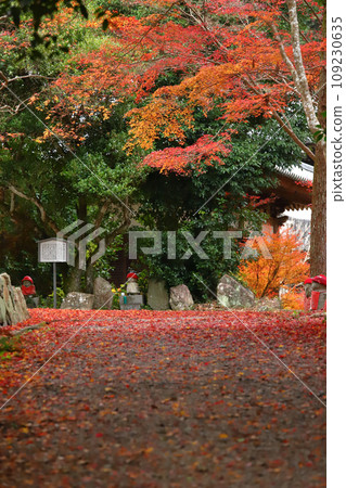 Autumn leaves at Otaniyama Kaya-in Temple 109230635