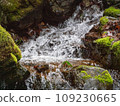 Mossy rocks and moss 109230665
