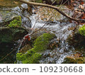 Flow of stream 109230668
