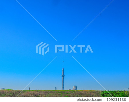 天空樹和荒川銀行 109231188