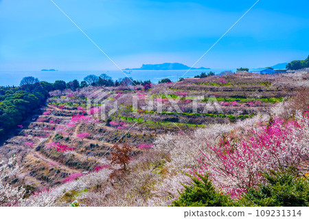 Ayabe Mountain Bairin and Ikema Islands Ayabe Mountain Bairin and Ikema Islands 109231314