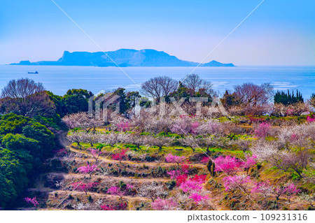 Ayabe Mountain Bairin和Ikema Islands Ayabe Mountain Bairin和Ikema Islands 109231316