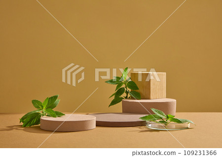 Scene for cosmetic product presentation with round podiums and fresh leaves of spearmint on brown background. Spearmint leaves are a commonly used ingredient in herbal tea. Herbal ingredient 109231366