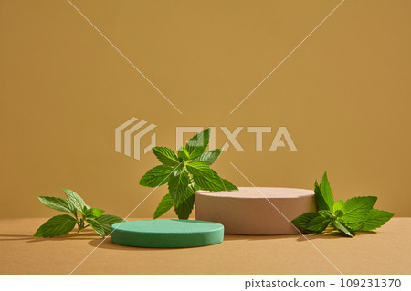 Front view of green and brown podiums with spearmint leaves decorated on brown background. Space for cosmetic product mockup. Promotional concept for lavender preparations 109231370