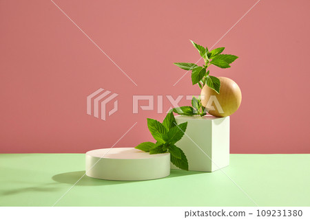 Abstract scene with minimalist style for product brand presentation. Fresh spearmint leaves with wooden ball and white podiums decorated on pink and green background. Medicinal plant 109231380