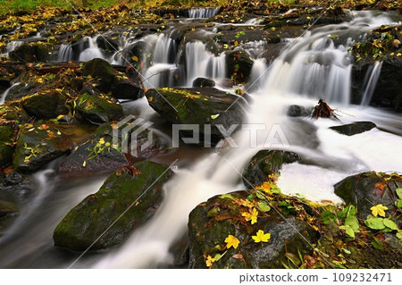 Beautiful colorful natural background with a stream in the forest and flowing water. Autumn time and landscape with nature. 109232471