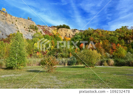 Beautiful colourful autumn landscape. Nature with forest and colourful trees in autumn. Concept for the season and the environment. 109232478
