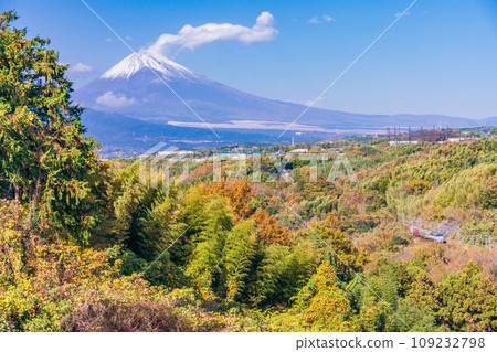 (Shizuoka Prefecture) Autumn leaves at the western foot of Hakone and Mt. Fuji over the JR Tokai freight train 109232798