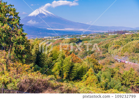 (Shizuoka Prefecture) Autumn leaves at the western foot of Hakone and Mt. Fuji over the JR Tokai freight train 109232799