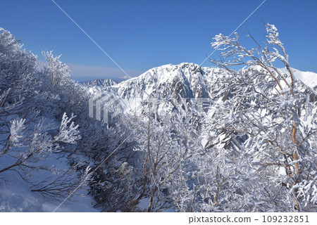 白門山、谷川嶽山頂附近的樹木被霜覆蓋 白門山、谷川嶽山頂附近的樹木被霜覆蓋 109232851