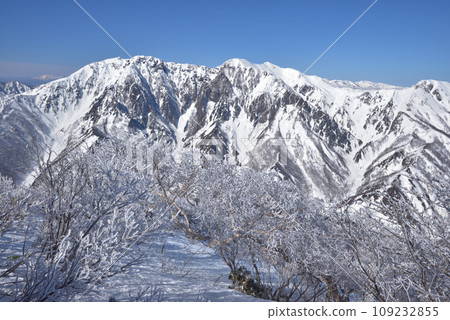 白門山、谷川嶽山頂附近的樹木被霜覆蓋 白門山、谷川嶽山頂附近的樹木被霜覆蓋 109232855