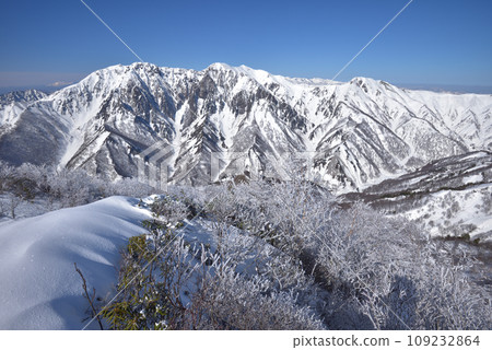 Snow-covered Mt. Tanigawa and the eastern rock wall seen from the summit of Mt. Shiragemon 109232864