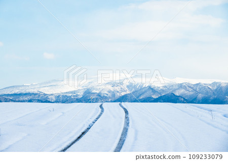 Tire tracks of a car running on a road in Hokkaido in winter 109233079