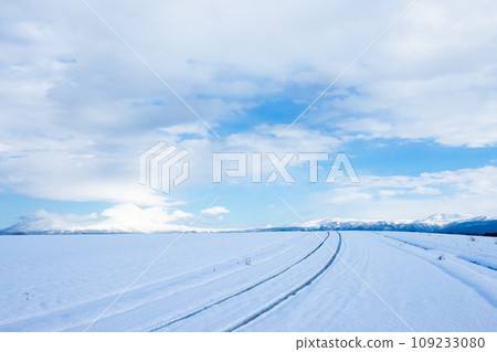 冬季北海道道路上行駛的汽車輪胎痕跡 109233080