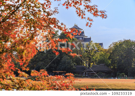 紅葉最佳時期的岡山後樂園與整修後的岡山城 紅葉最佳時期的岡山後樂園與整修後的岡山城 109233319