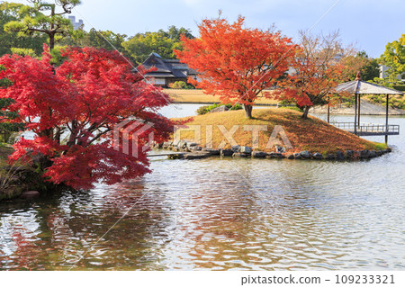 Okayama Korakuen, the best time to see autumn leaves, and Okayama Castle after renovations Okayama Korakuen, the best time to see autumn leaves, and Okayama Castle after renovations 109233321