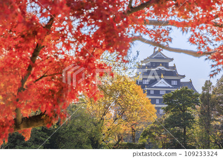 Okayama Korakuen, the best time to see autumn leaves, and Okayama Castle after renovations Okayama Korakuen, the best time to see autumn leaves, and Okayama Castle after renovations 109233324