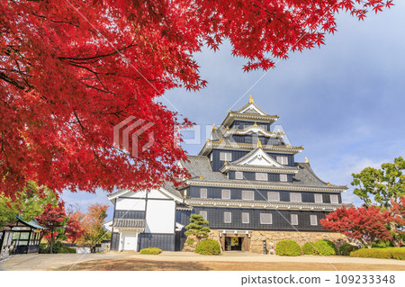 Okayama Korakuen, the best time to see autumn leaves, and Okayama Castle after renovations Okayama Korakuen, the best time to see autumn leaves, and Okayama Castle after renovations 109233348
