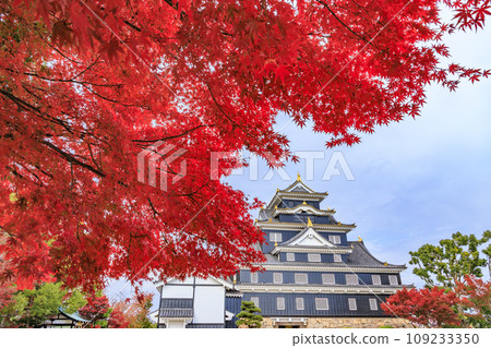Okayama Korakuen, the best time to see autumn leaves, and Okayama Castle after renovations 109233350