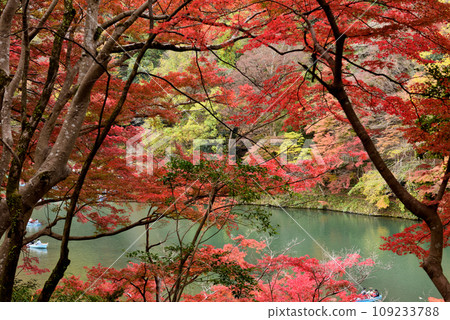 嵐山桂川紅葉最佳時期 109233788