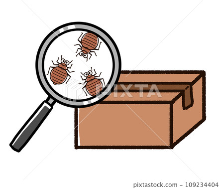 臭蟲藏在紙箱裡 109234404