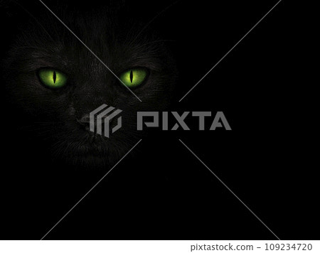 Muzzle of a black cat with glowing green eyes close-up on a black background Muzzle of a black cat with glowing green eyes close-up on a black background 109234720