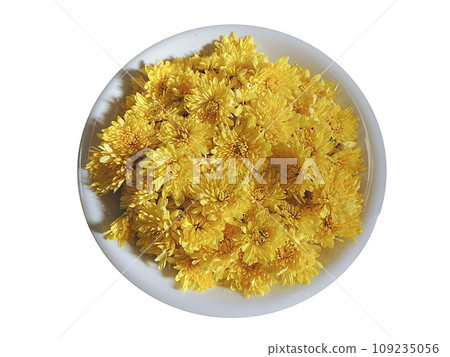 食用菊花 食用菊花 109235056