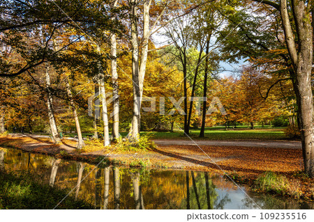 Golden autumn view in famous Munich relax place - Englischer Garten. Munich, Bavaria, Germany 109235516