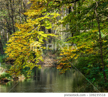 Golden autumn view in famous Munich relax place - Englischer Garten. Munich, Bavaria, Germany 109235518