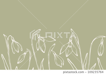 Spring snowdrops background hand drawn horizontal botanical border design green beige color Spring snowdrops background hand drawn horizontal botanical border design green beige color 109235764