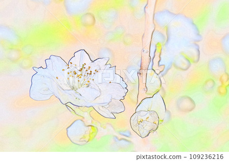 觀賞雙花桃圖 109236216