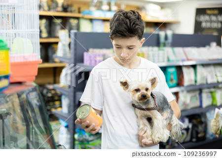 Teenage boy choosing canned dog food for Yorkshire terrier at pet store 109236997