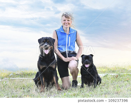 obedience training in a club obedience training in a club 109237396