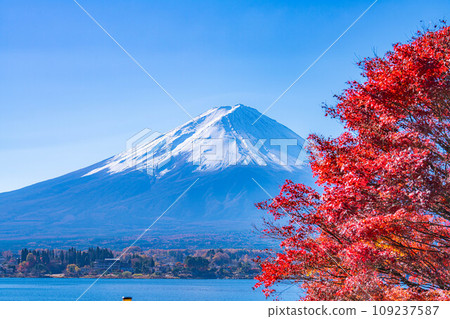 [富士山素材]秋天從河口湖看到的白雪皚皚的富士山和紅葉[山梨縣] 109237587