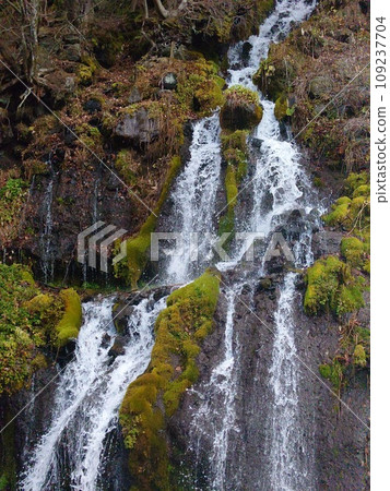 八岳的鳥龍瀑布染上了秋色 八岳的鳥龍瀑布染上了秋色 109237704